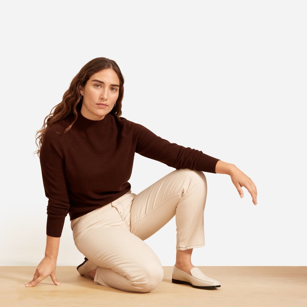 Everlane Cashmere mockneck raglan sweater